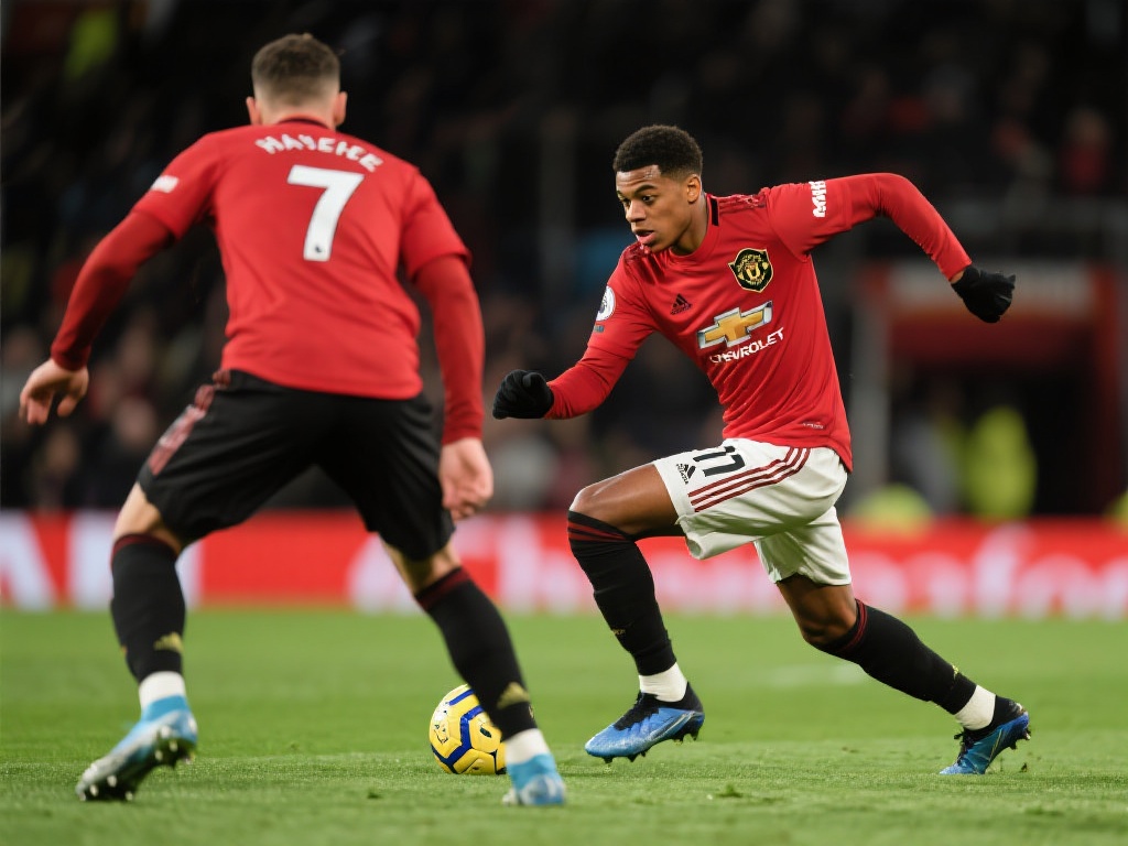 有可能成为 有可能成为