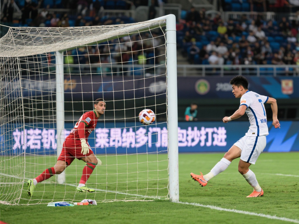 度数据评估 度数据评估