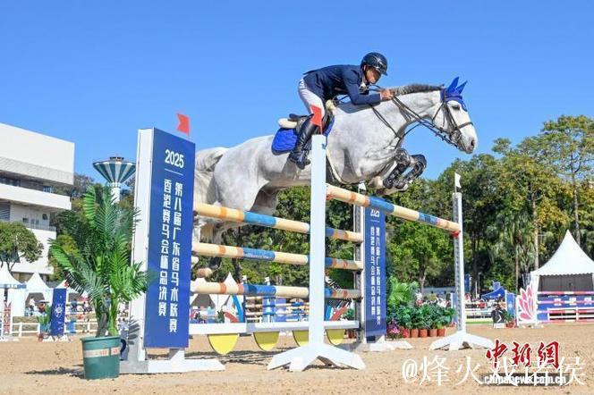 第八届广东省马术联赛总决赛将在广州举行